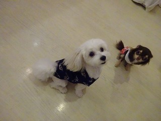 DSC02154.jpg