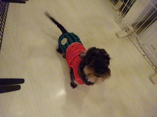DSC02166.jpg