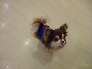 DSC02203.jpg