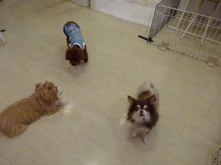 DSC02218.jpg