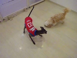 DSC02223.jpg