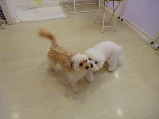 DSC02235.jpg