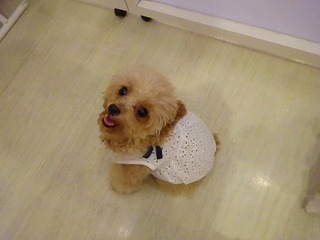 DSC02275.jpg