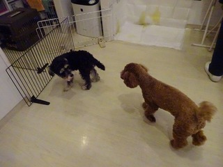 DSC02293.jpg