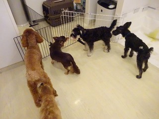 DSC02308.jpg