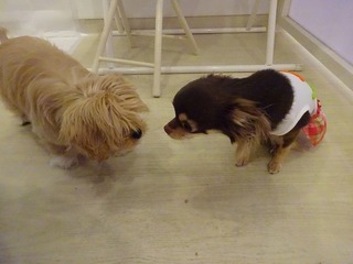 DSC02308.jpg