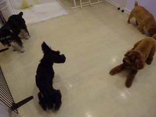 DSC02321.jpg