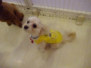DSC02335.jpg