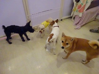 DSC02344.jpg