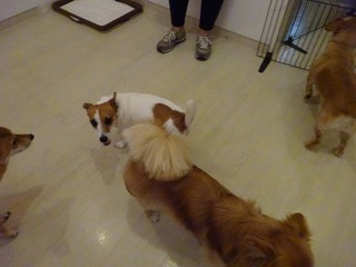 DSC02354.jpg