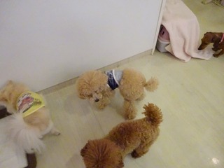 DSC02369.jpg