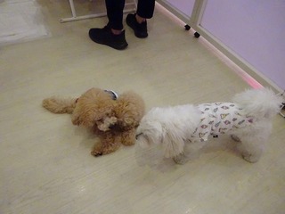 DSC02370.jpg