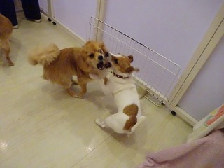DSC02379.jpg