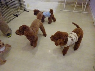 DSC02413.jpg