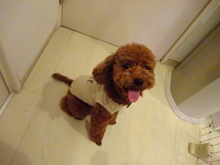 DSC02430.jpg