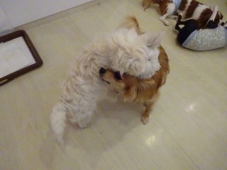 DSC02461.jpg