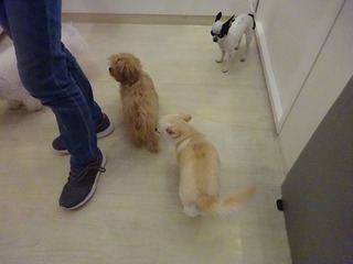 DSC02483.jpg
