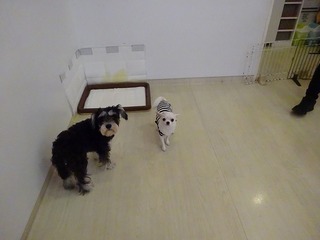 DSC02492.jpg