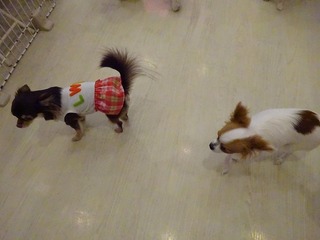 DSC02511.jpg