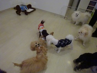 DSC02542.jpg