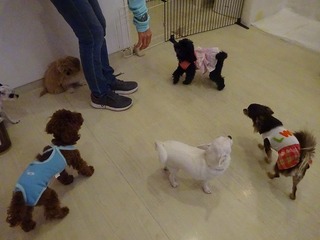 DSC02552.jpg