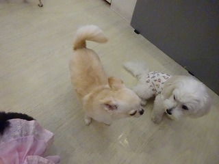 DSC02559.jpg
