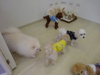 DSC02562.jpg