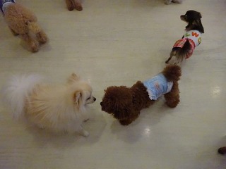 DSC02600.jpg