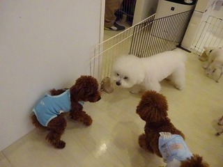 DSC02613.jpg