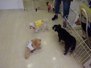 DSC02623.jpg