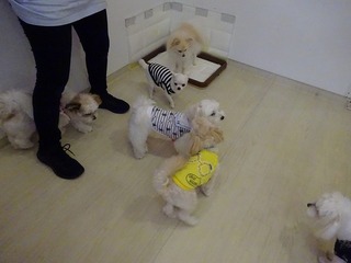 DSC02624.jpg