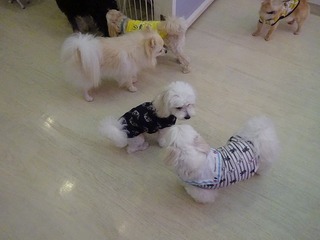 DSC02635.jpg