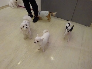 DSC02641.jpg