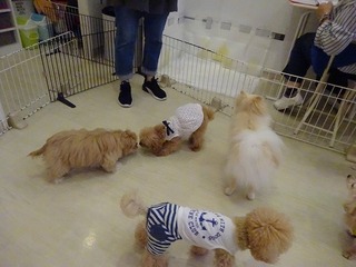 DSC02650.jpg