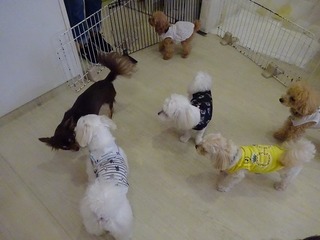 DSC02690.jpg