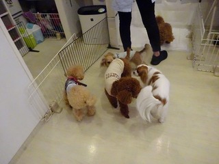 DSC02710.jpg