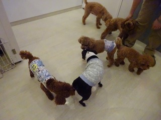 DSC02744.jpg