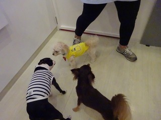 DSC02754.jpg