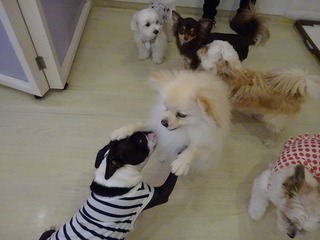 DSC02763.jpg