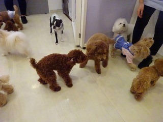 DSC02766.jpg