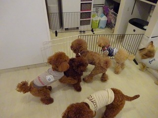 DSC02780.jpg