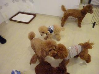 DSC02784.jpg