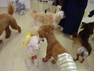 DSC02815.jpg
