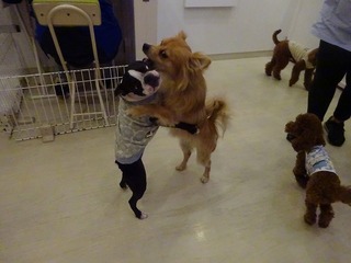 DSC02825.jpg
