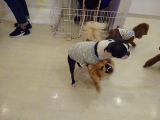 DSC02828.jpg