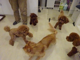 DSC02861.jpg