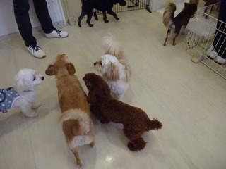 DSC02892.jpg