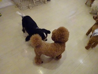 DSC02910.jpg