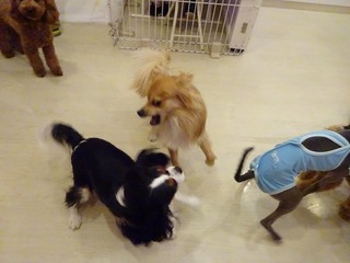 DSC02917.jpg