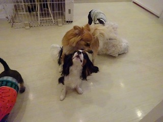DSC02927.jpg